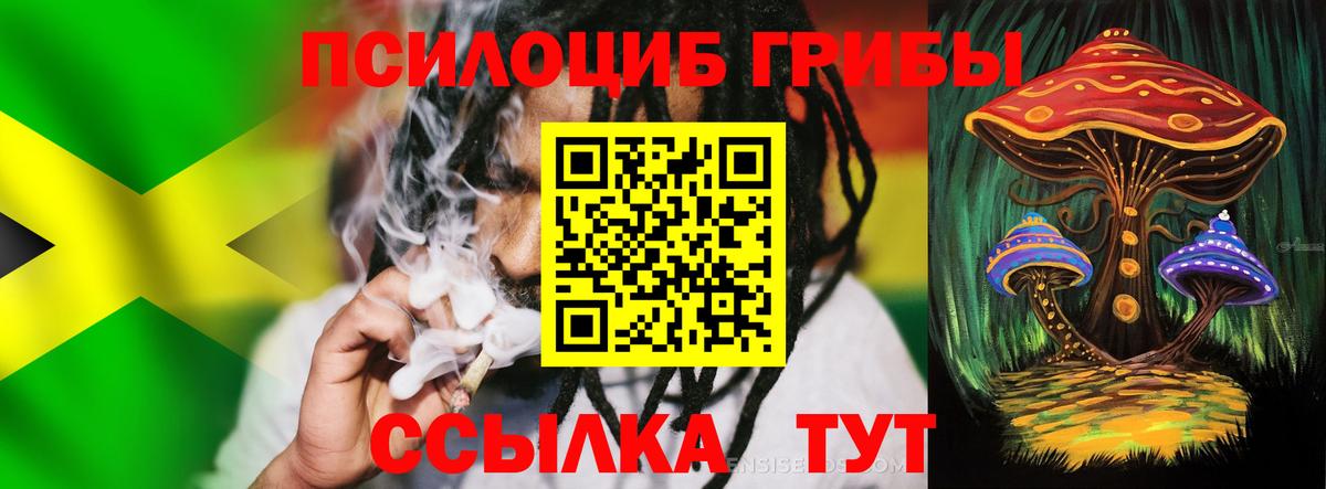 Псилоцибиновые грибы MAGIC MUSHROOMS Амурск